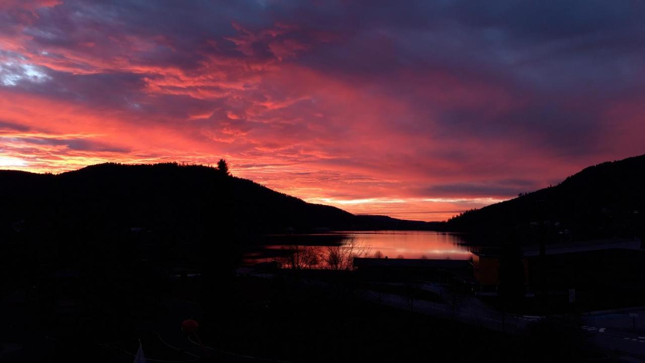 Les Loges Du Parc Hotel Gerardmer Luaran gambar