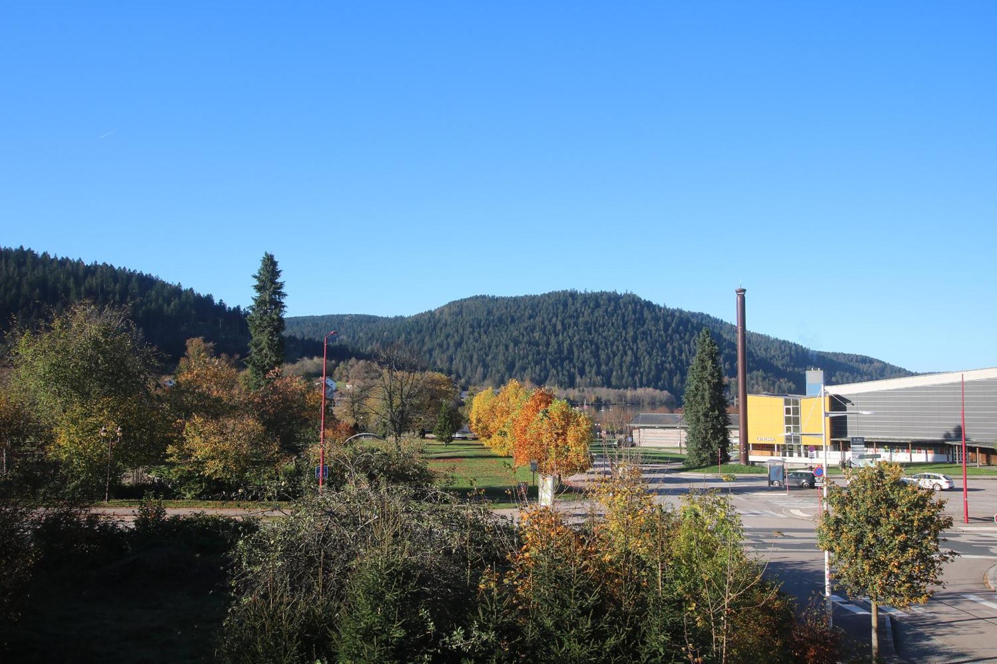 Les Loges Du Parc Hotel Gerardmer Bilik gambar